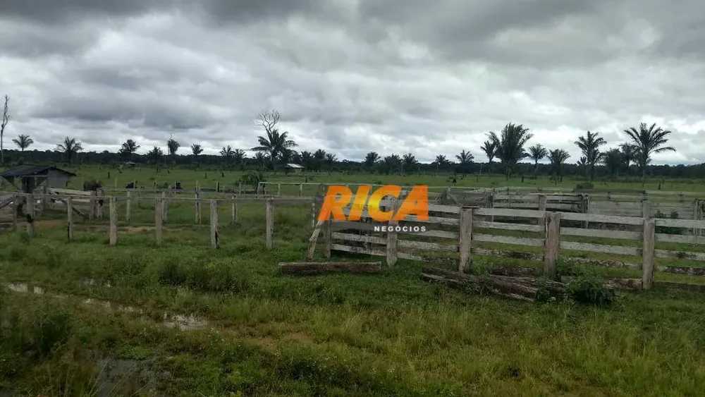 Fazenda, 1406 hectares - Foto 13