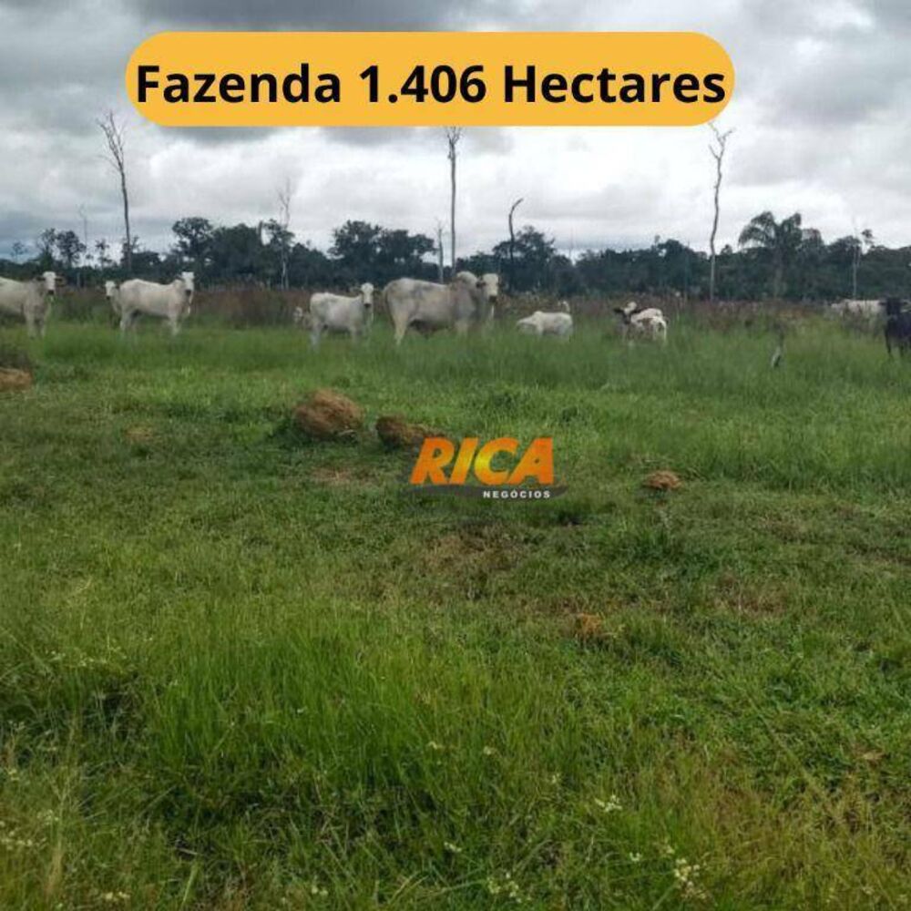 Fazenda à venda com 2 quartos, 14060000M2 - Foto 1