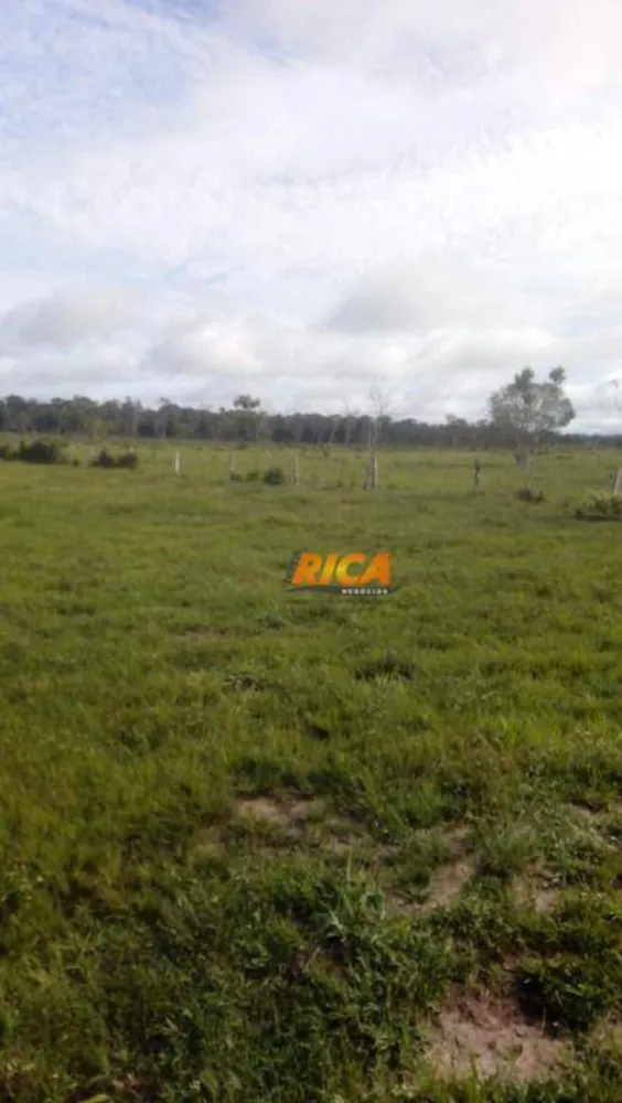 Fazenda, 1406 hectares - Foto 16
