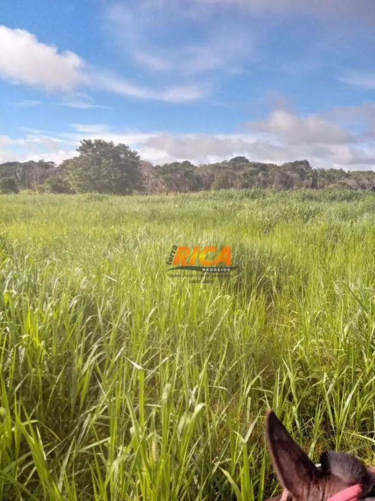 Fazenda, 1406 hectares - Foto 6