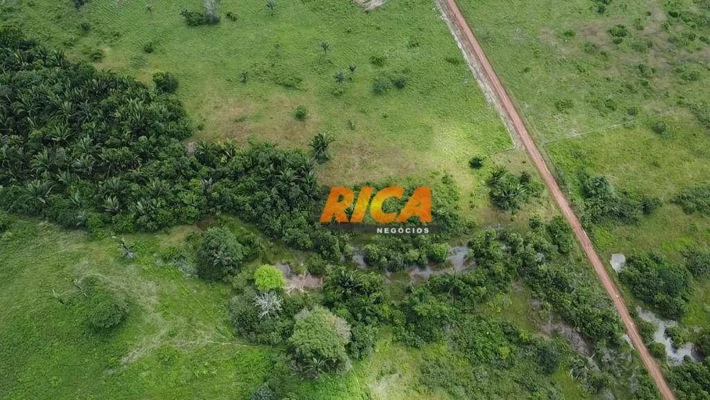 Fazenda, 208 hectares - Foto 13
