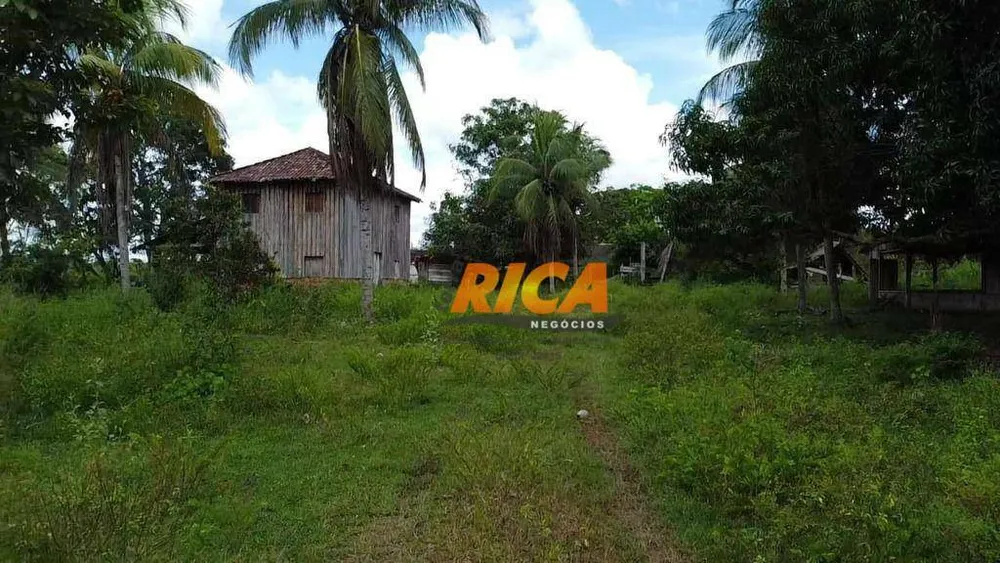 Fazenda, 208 hectares - Foto 15