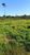 Fazenda-Sítio-Chácara, 1500 hectares - Foto 18
