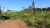 Fazenda-Sítio-Chácara, 1500 hectares - Foto 3