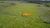 Fazenda, 2800 hectares - Foto 2