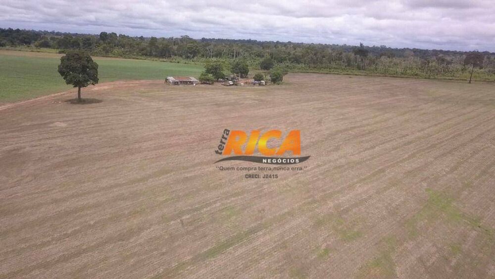 Fazenda, 200 hectares - Foto 4