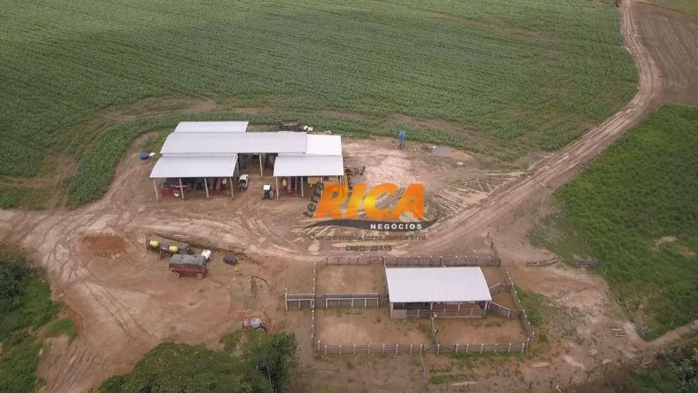 Fazenda, 200 hectares - Foto 7