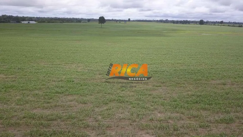 Fazenda, 200 hectares - Foto 11