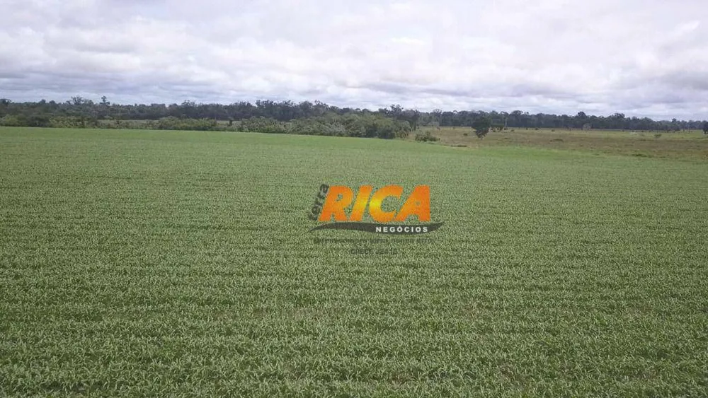 Fazenda, 200 hectares - Foto 6