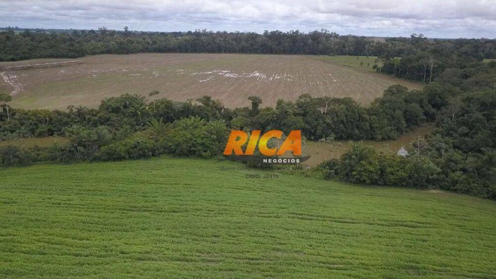 Fazenda, 200 hectares - Foto 1