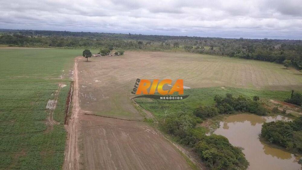 Fazenda, 200 hectares - Foto 3