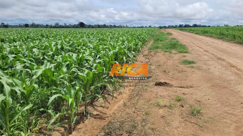Fazenda, 200 hectares - Foto 13