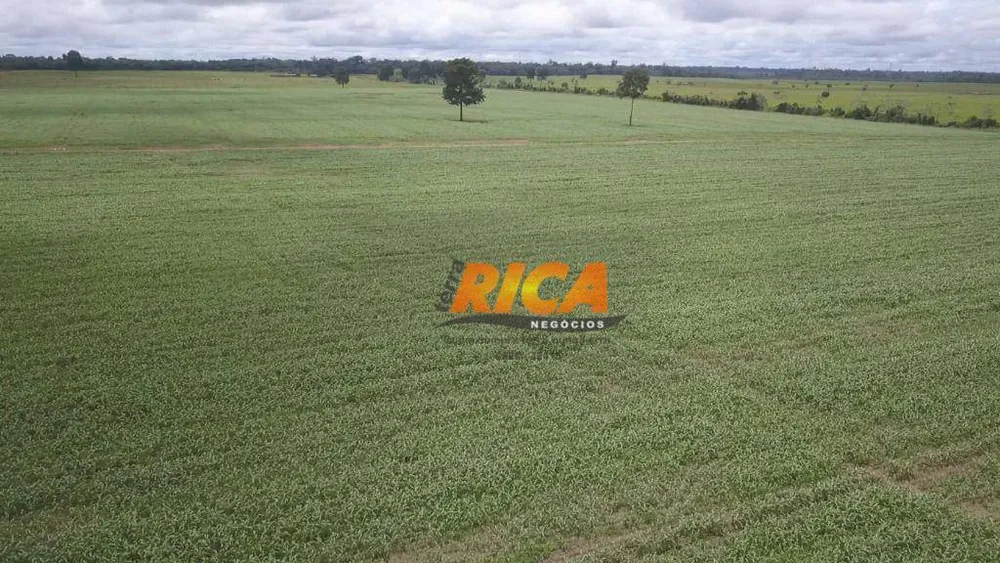 Fazenda, 200 hectares - Foto 10