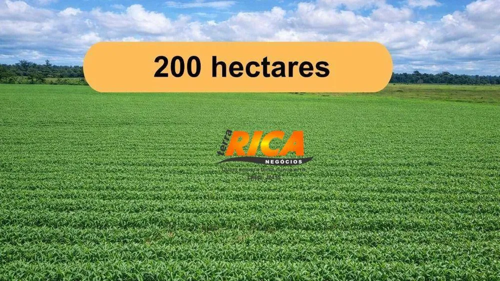 Fazenda, 200 hectares - Foto 1