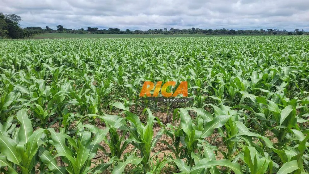 Fazenda, 200 hectares - Foto 14