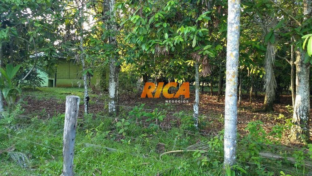 Sítio, 4 quartos, 39 hectares - Foto 11