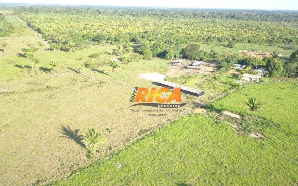 Sítio, 4 quartos, 39 hectares - Foto 2