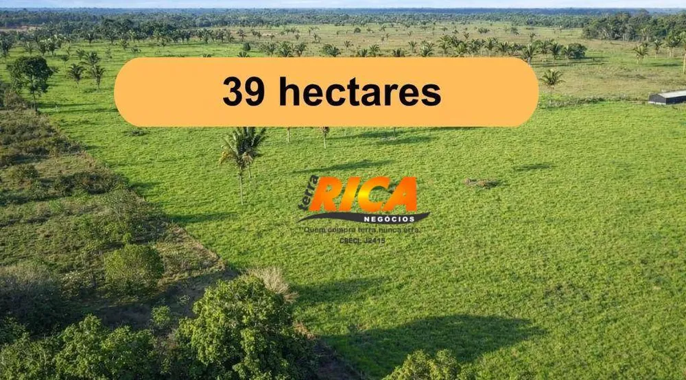 Sítio, 4 quartos, 39 hectares - Foto 2