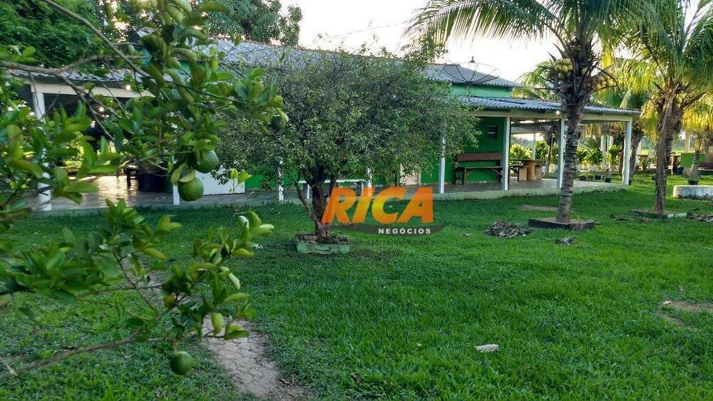 Sítio, 4 quartos, 39 hectares - Foto 4