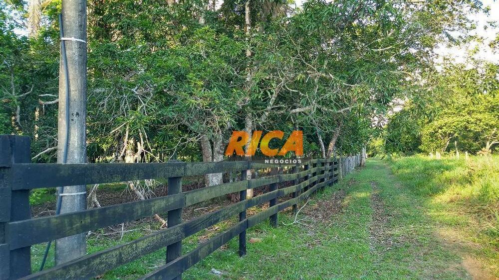 Sítio, 4 quartos, 39 hectares - Foto 9