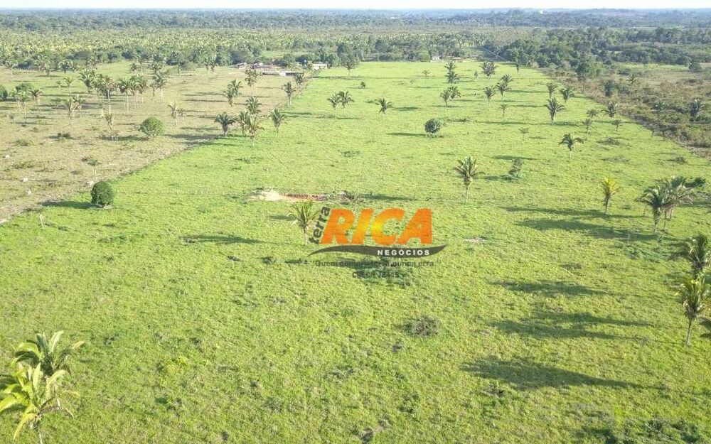 Sítio, 4 quartos, 39 hectares - Foto 28