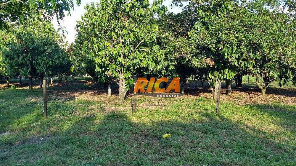 Sítio, 4 quartos, 39 hectares - Foto 7