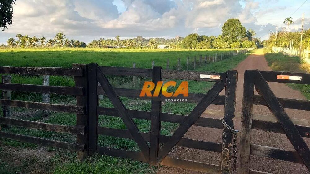 Sítio, 4 quartos, 39 hectares - Foto 26