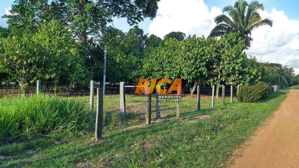 Sítio, 4 quartos, 39 hectares - Foto 12