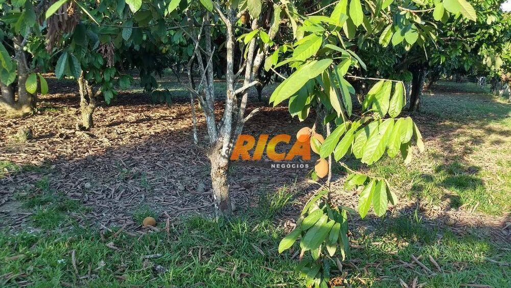 Sítio, 4 quartos, 39 hectares - Foto 8