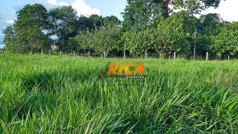 Sítio, 4 quartos, 39 hectares - Foto 15