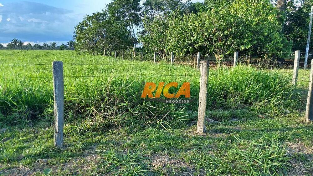 Sítio, 4 quartos, 39 hectares - Foto 13