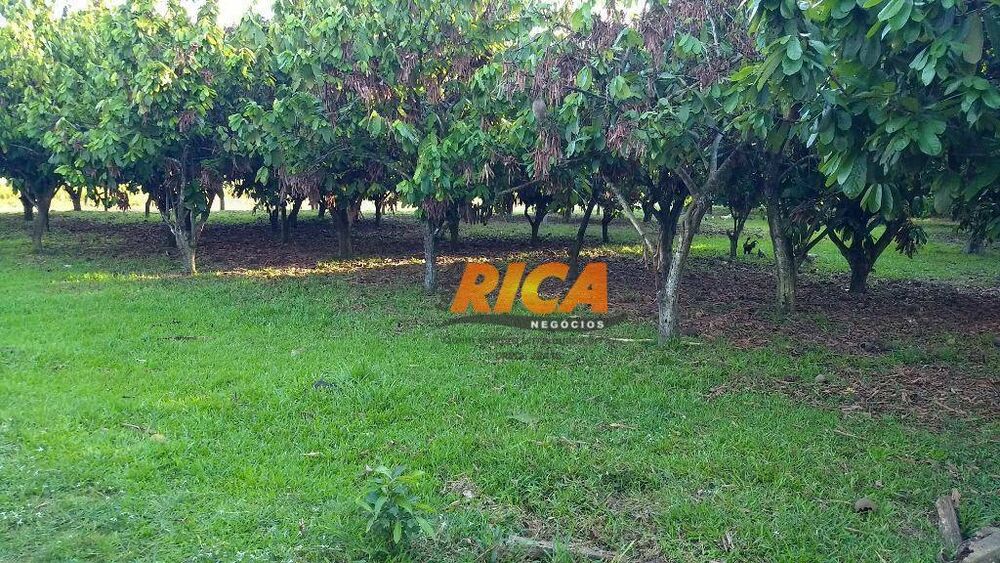 Sítio, 4 quartos, 39 hectares - Foto 6