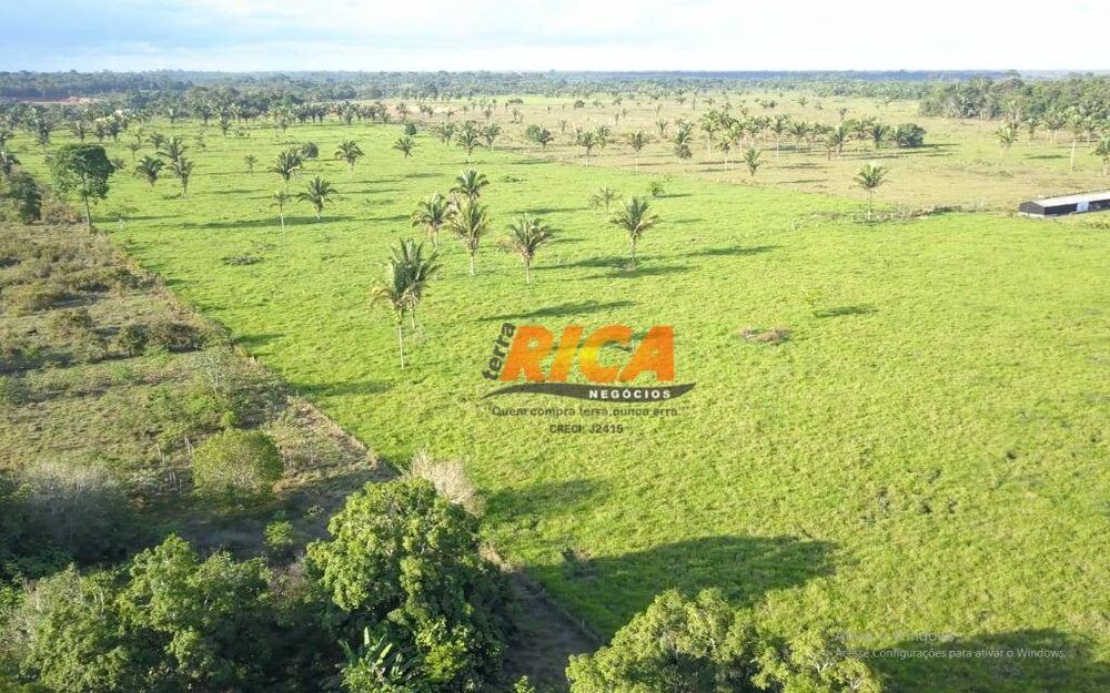 Sítio, 4 quartos, 39 hectares - Foto 30
