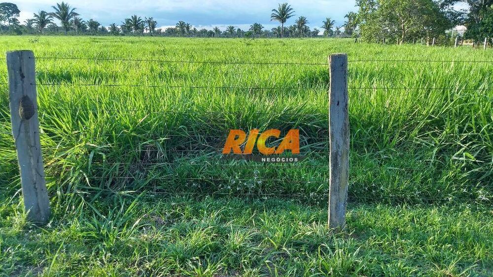 Sítio, 4 quartos, 39 hectares - Foto 14