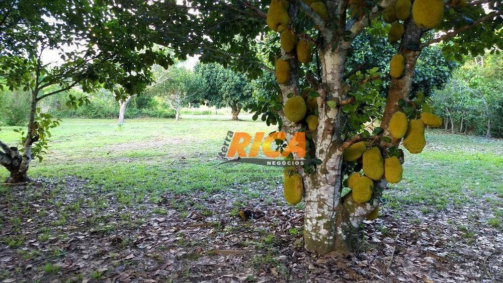 Sítio, 4 quartos, 39 hectares - Foto 25