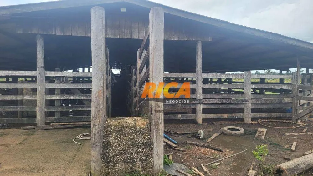 Fazenda, 200 hectares - Foto 12