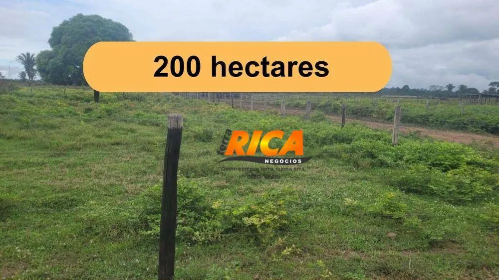 Fazenda, 200 hectares - Foto 1