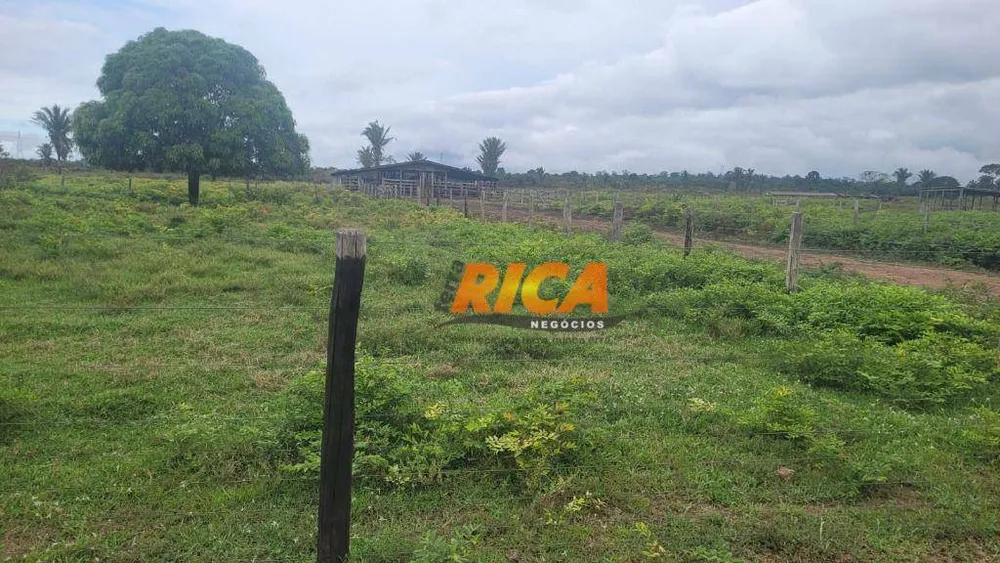 Fazenda, 200 hectares - Foto 7