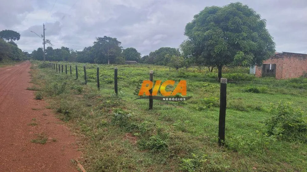 Fazenda, 200 hectares - Foto 6