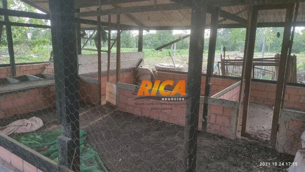 Chácara, 2 quartos, 2 hectares - Foto 9