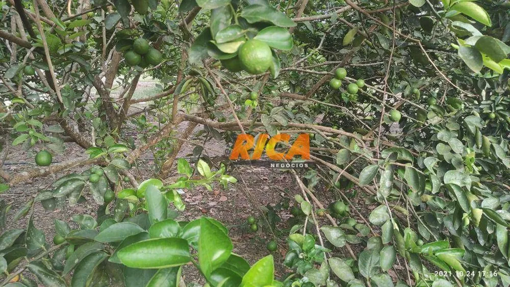 Chácara, 2 quartos, 2 hectares - Foto 7