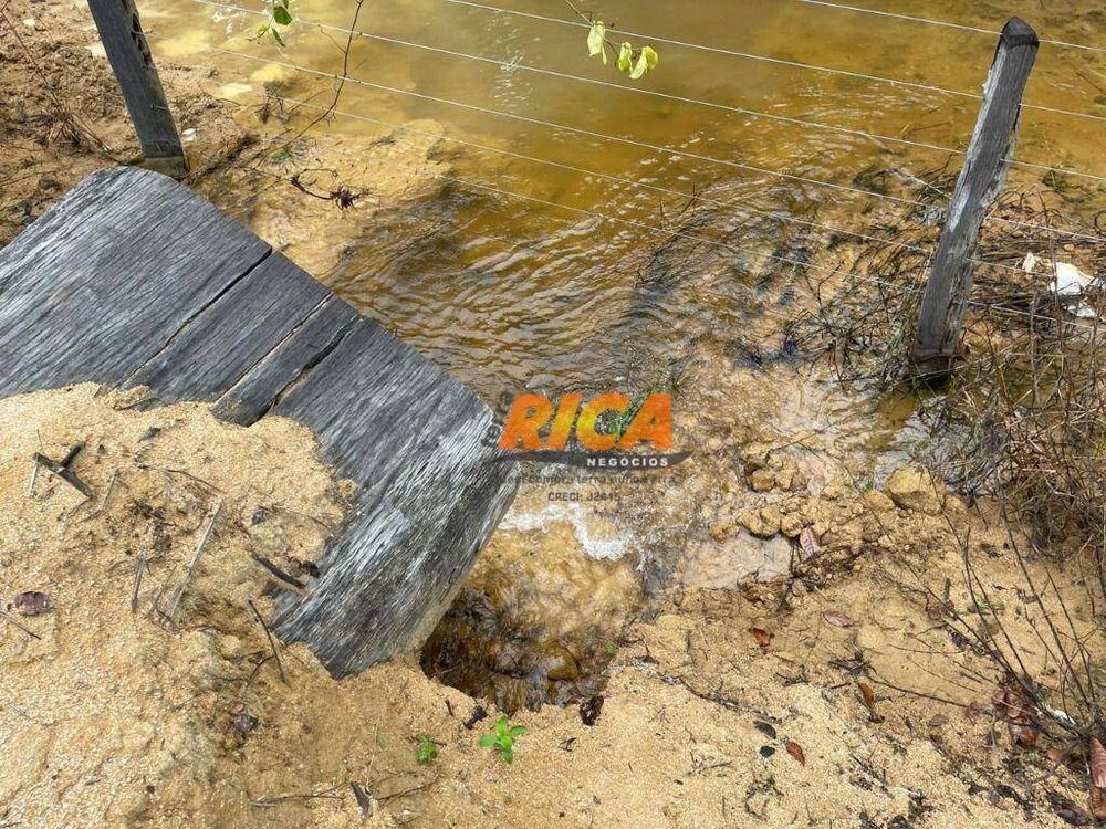 Sítio, 31 hectares - Foto 9