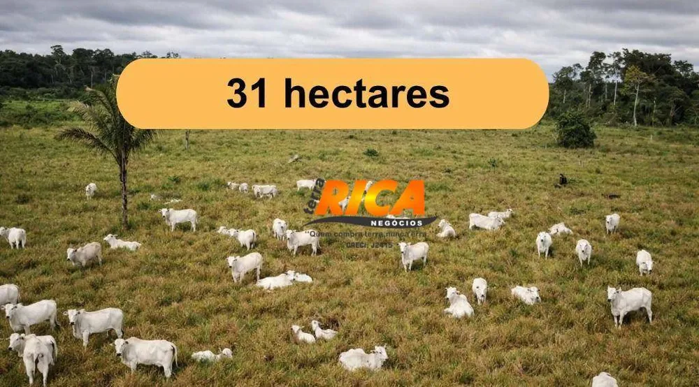 Sítio, 31 hectares - Foto 2