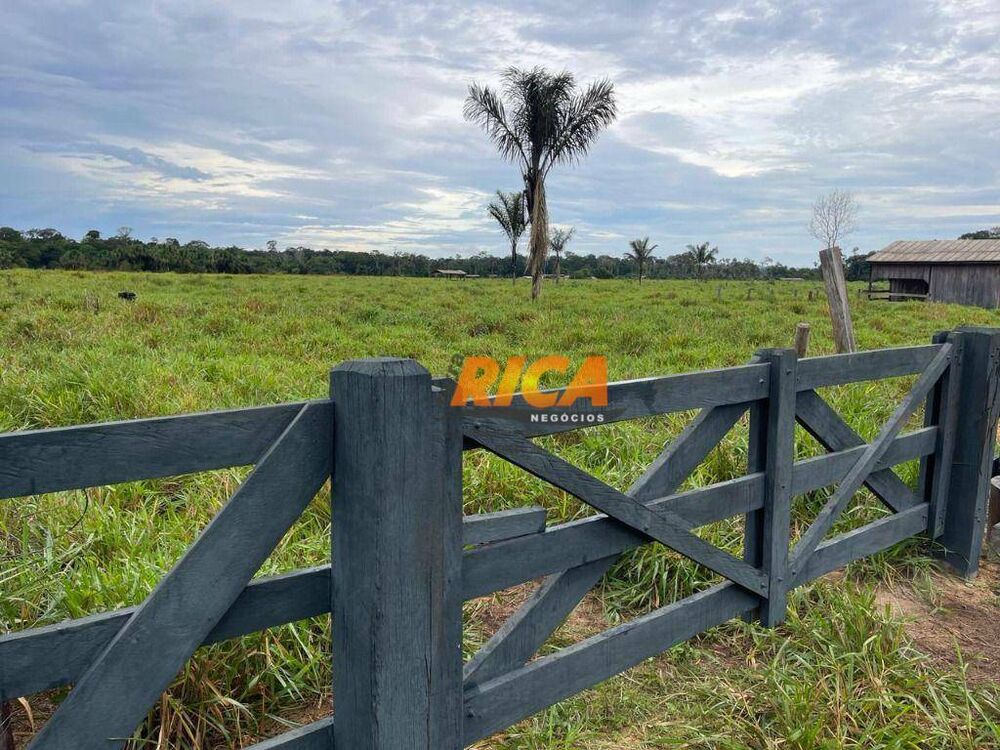 Sítio, 31 hectares - Foto 12