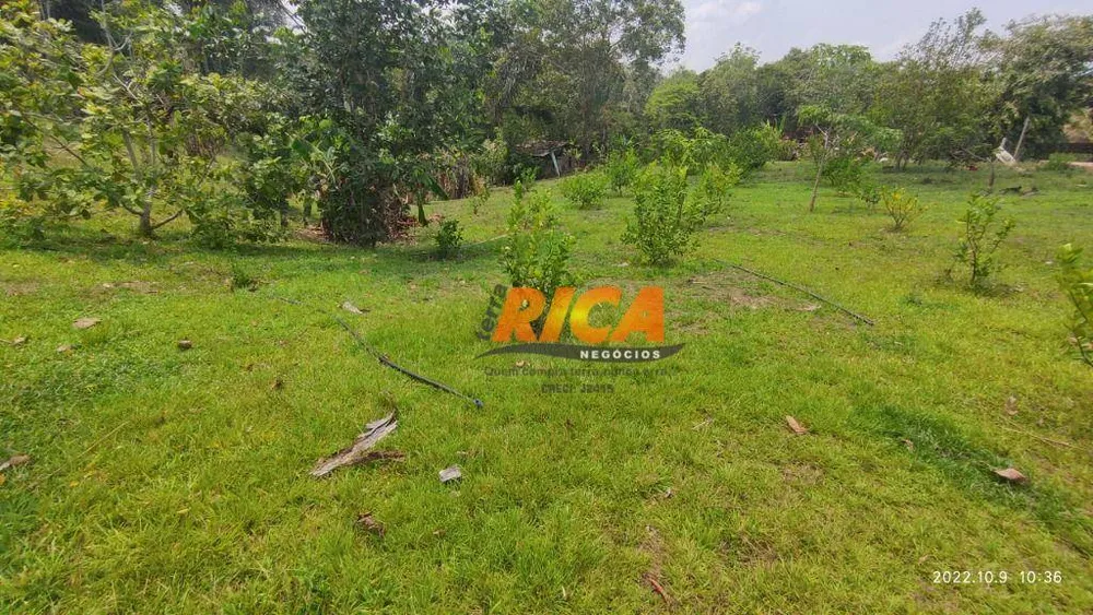 Fazenda, 100 hectares - Foto 4