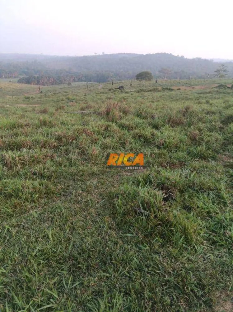 Fazenda, 170 hectares - Foto 10
