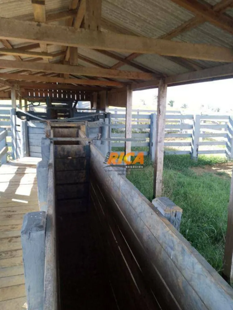 Fazenda, 170 hectares - Foto 7