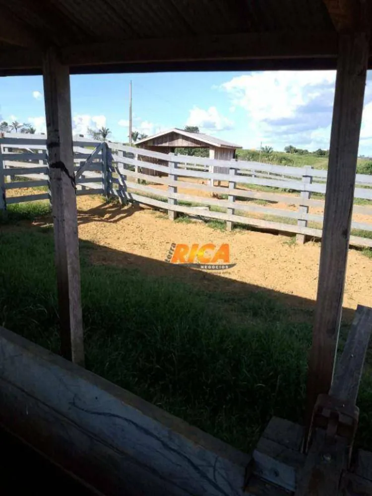 Fazenda, 170 hectares - Foto 6