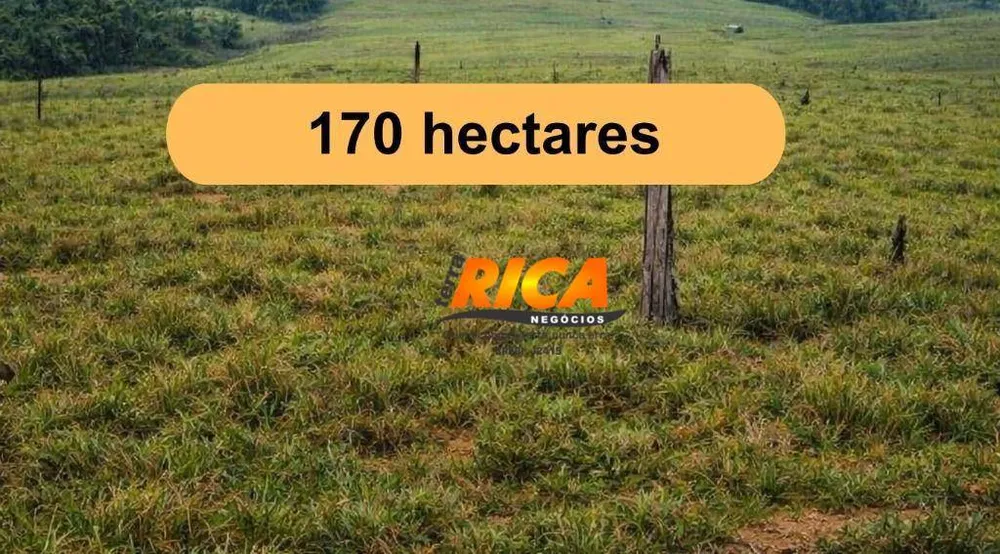 Fazenda, 170 hectares - Foto 3