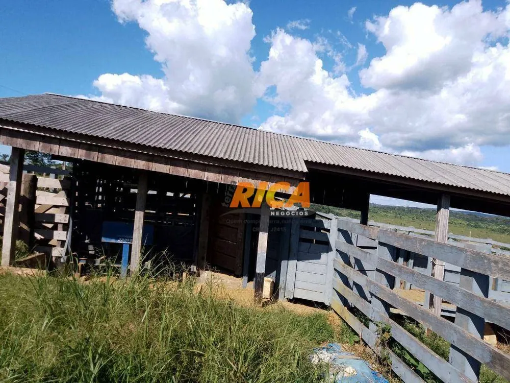 Fazenda, 170 hectares - Foto 4